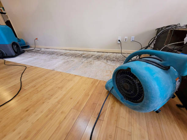 Professional Flood Damage Cleanup technician working in Supai, AZ